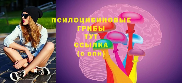 apvp Богданович