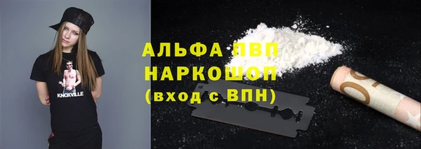 apvp Богданович
