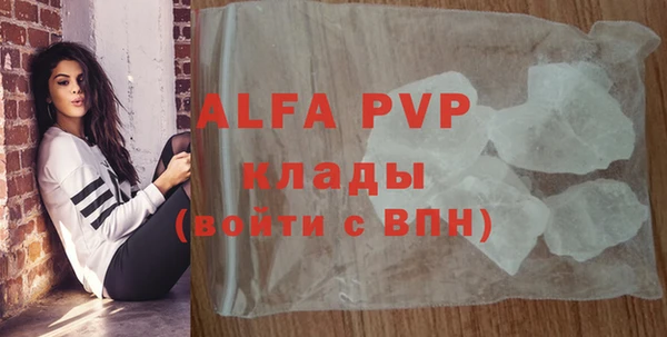 apvp Богданович